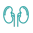 Nephrology