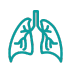 Pulmonology