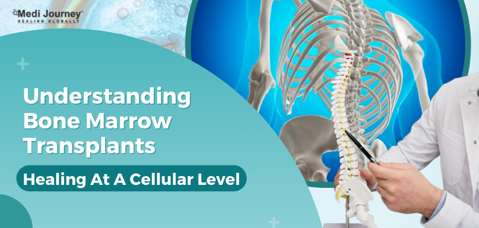 Understanding Bone Marrow Transplants: Types, Procedure, and Recovery